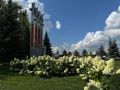 С приходом холодов специалисты Горзеленхоза начинают готовить гортензии к зимовке, чтобы и в следующем году с приходом тепла цветущие кустарники радовали горожан и гостей Уфы