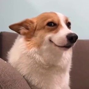 Призыв в армию становится круглогодичным — Госдума одобрила законопроект