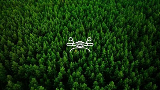 Поехали! Первая программа!