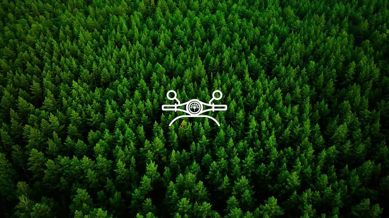 Поехали! Первая программа!