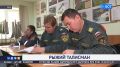 В Уфе кот стал частью пожарной команды