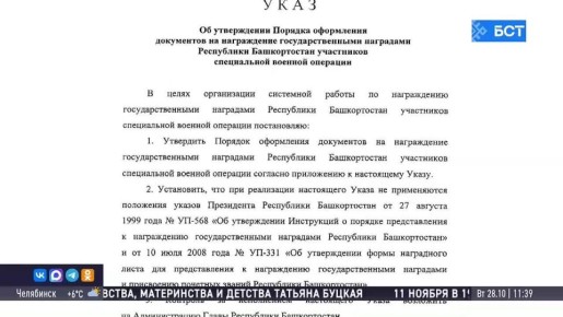 В Башкирии утвердили порядок награждения участников СВО
