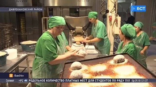 В Башкирии объем производства продукции сельского хозяйства вырос на 5%