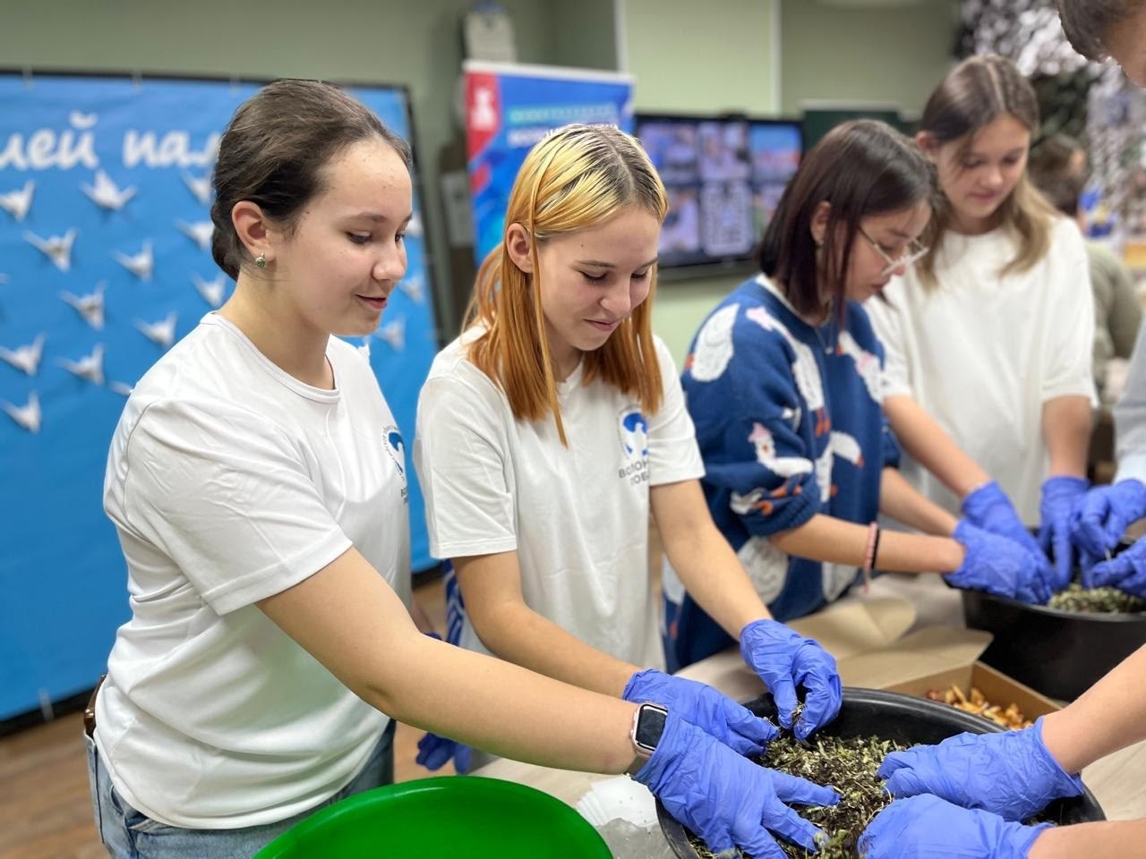 Волонтёры Победы Стерлитамака отметили 10 лет со дня основания движения Волонтёры Победы Стерлитамака отметили 10 лет со дня основания движения