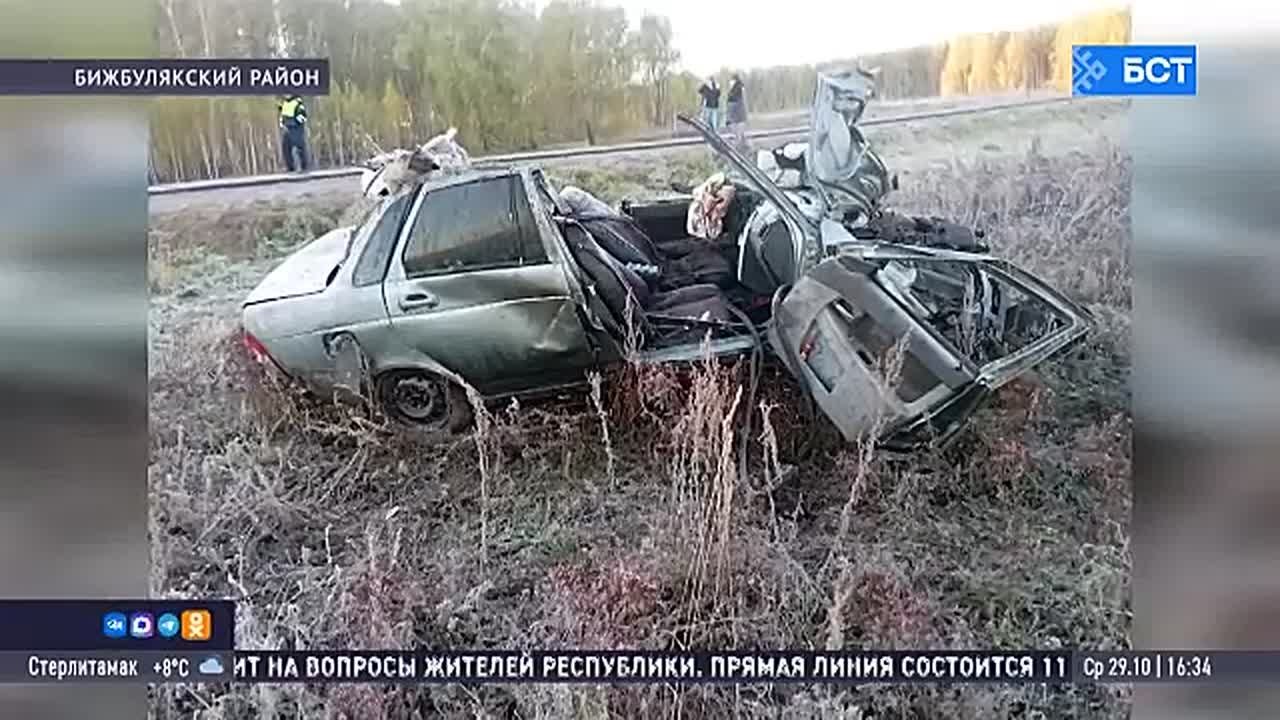 В Башкирии шесть человек погибли в ДТП из-за безнадзорного скота