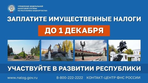 Заплатите имущественные налоги до 1 декабря