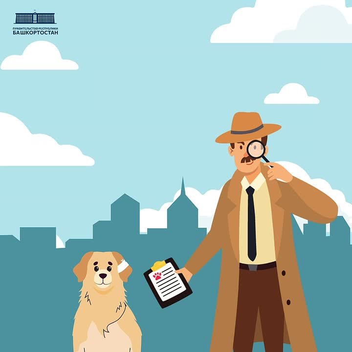 В Башкортостане выявлена схема мошенничества под видом ветеринарных услуг