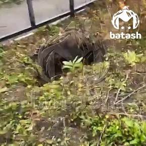 Рядом с провалом на Гаскарова появилась ещё одна яма, а асфальт пошёл трещинами