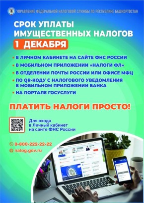 Срок уплаты имущественных налогов - 1 декабря