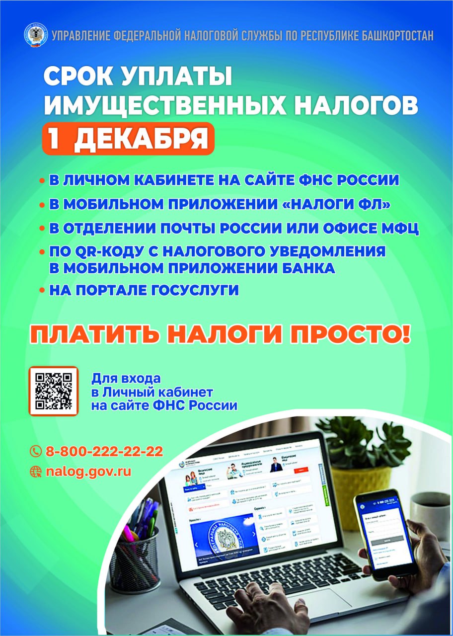 Срок уплаты имущественных налогов - 1 декабря