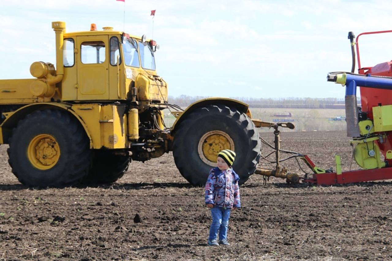 С 5 по 11 ноября в аграрном университете в Уфе будет работать интерактивная образовательная площадка Город профессий АПК «Я в АГРО»