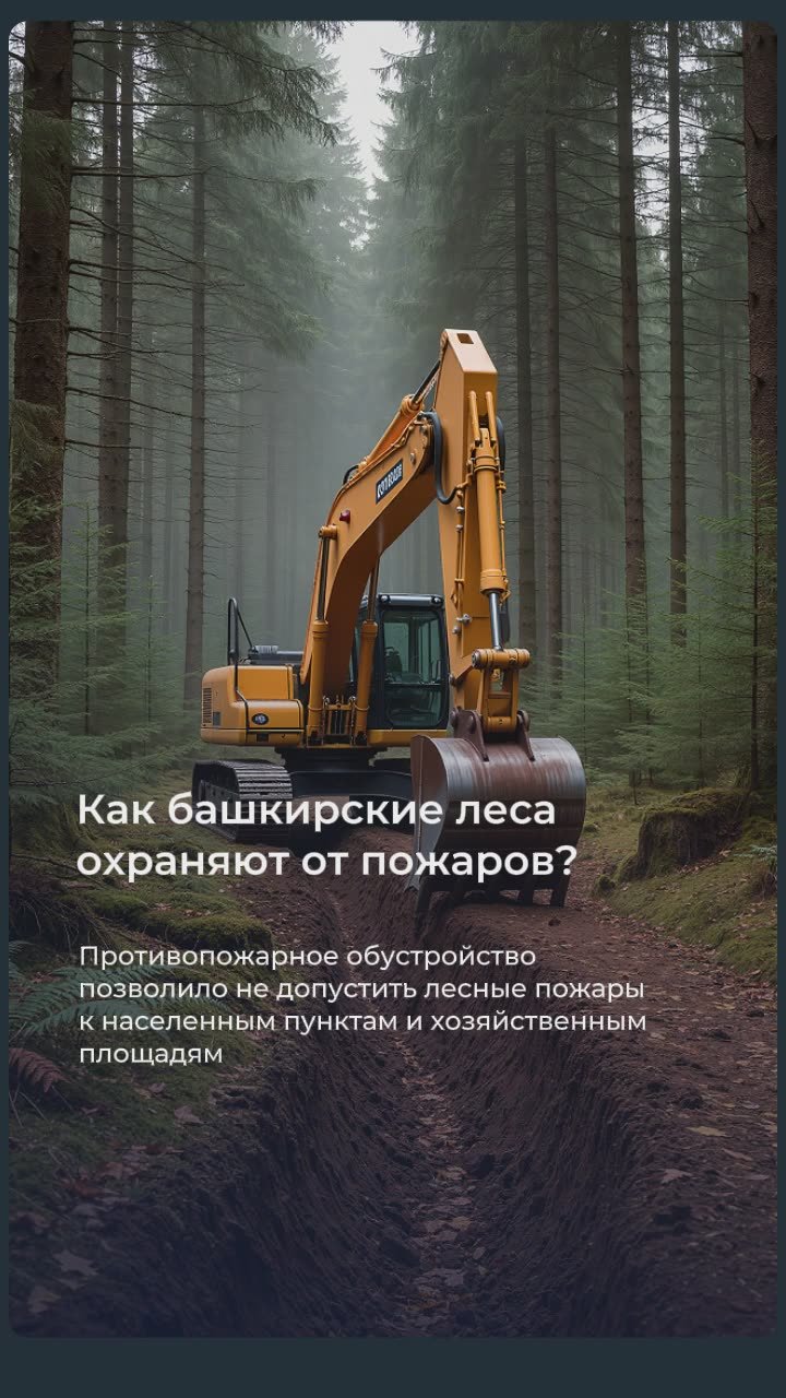 За последние два года площадь лесных пожаров сократилась в несколько раз