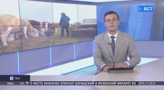 Фермер из Башкирии воплотил свою мечту