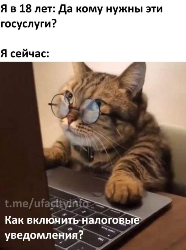 Почему важно платить налоги вовремя?