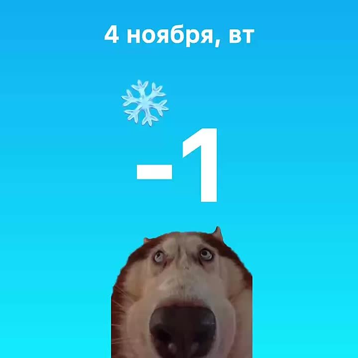 Сегодня обещают снег