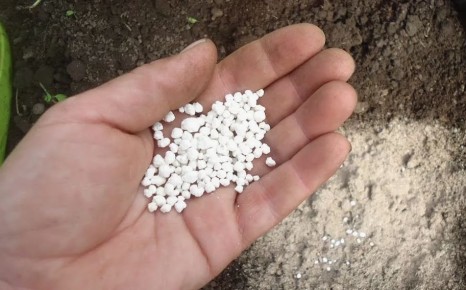 Как осеннее удобрение может преобразить ваш урожай