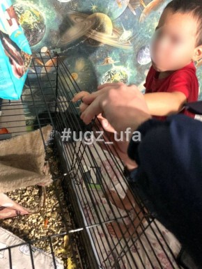 Вот ты и попался, дружок. В Уфе помощь спасателей потребовалась ребёнку