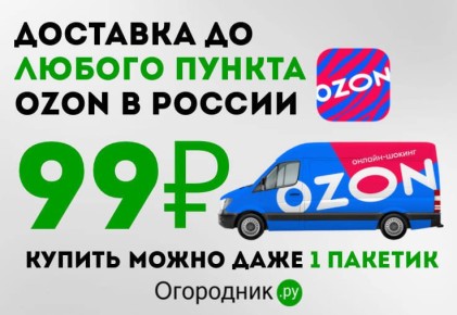 Доставка Ozon за 99 рублей: как сэкономить на каждой покупке в России