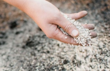 Способы оздоровления почвы весной: используйте этот секретный ингредиент