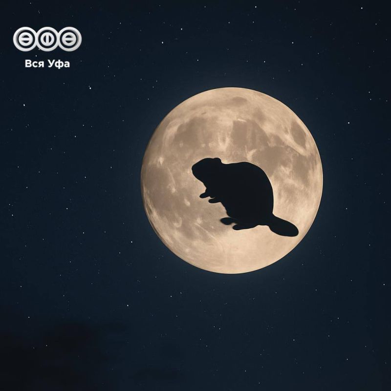 В Башкирии 5 ноября можно будет увидеть «Бобровую Луну»