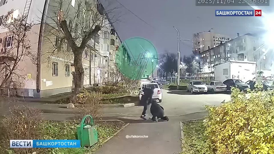 Хотел отобрать сумочку: в Уфе камеры зафиксировали нападение на женщину