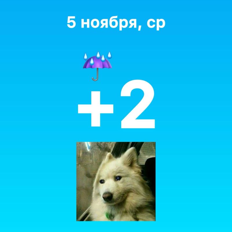 Этим утром греет только одна мысль — через три дня снова выходные