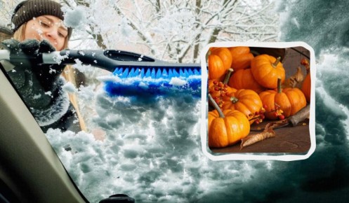 Почему натирание лобового стекла тыквой стало хитрой находкой среди водителей