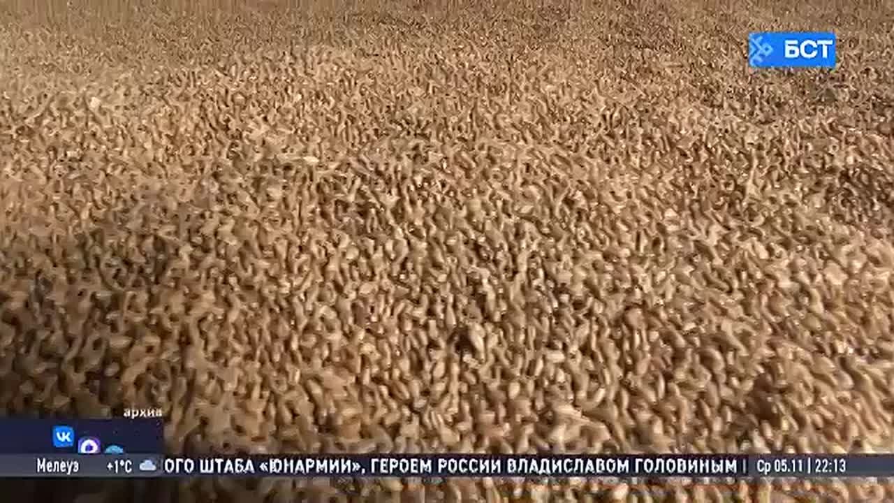 В Минсельхозе Башкирии подвели краткие итоги сезона