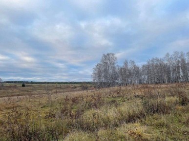 По данным Башгидромета, 5 ноября на территории республики ожидается облачная погода с прояснениями