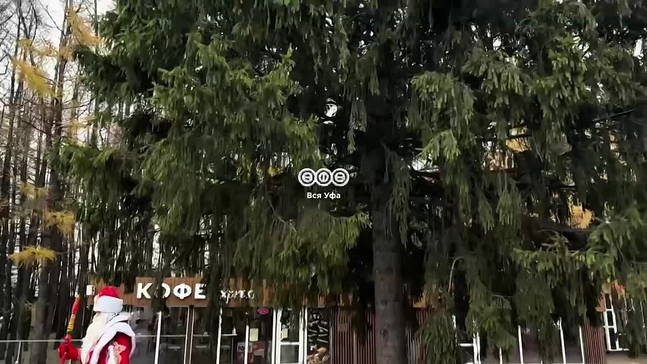 В Затоне установили первую в Башкирии новогоднюю ёлку!