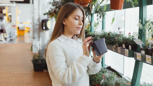 Одна ошибка убьет даже неприхотливое растение: не делайте так никогда