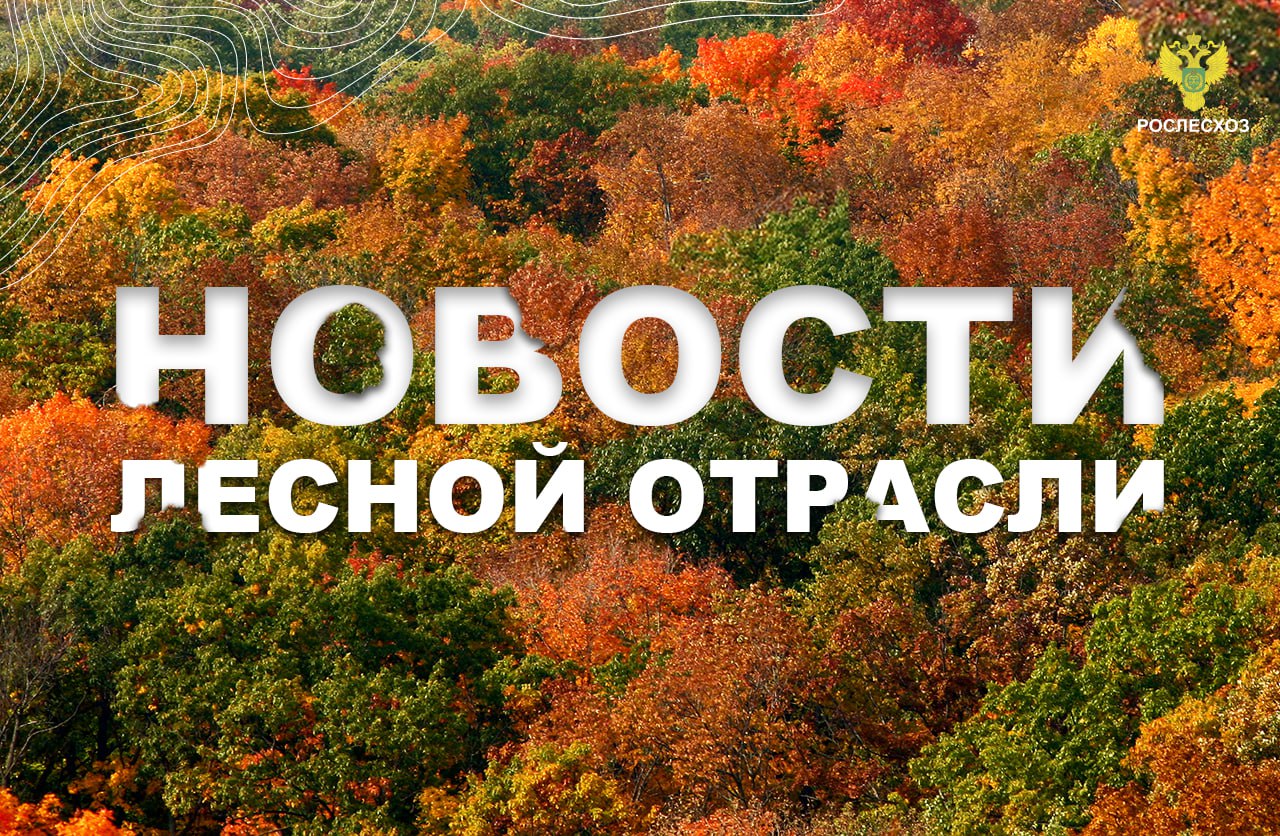 Комсомольская Правда: В Якутии сократили ущерб от лесных пожаров за счет подготовки к сезону
