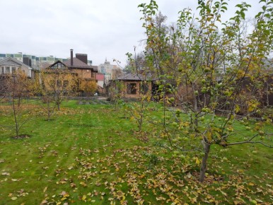 Когда лучше сажать саженцы: весна или осень?