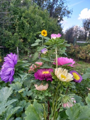 Удобство осенних заготовок: как простая воронка меняет готовку