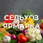 Выбирай своё. 8 и 9 ноября в Уфе пройдут сельскохозяйственные ярмарки, на которых горожане и гости города смогут приобрести продукты и овощи напрямую от башкирских производителей В субботу продажа развернется: