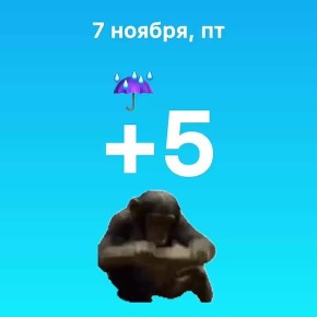 Погода без изменений — опять дождь