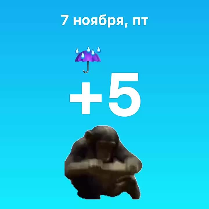 Погода без изменений — опять дождь