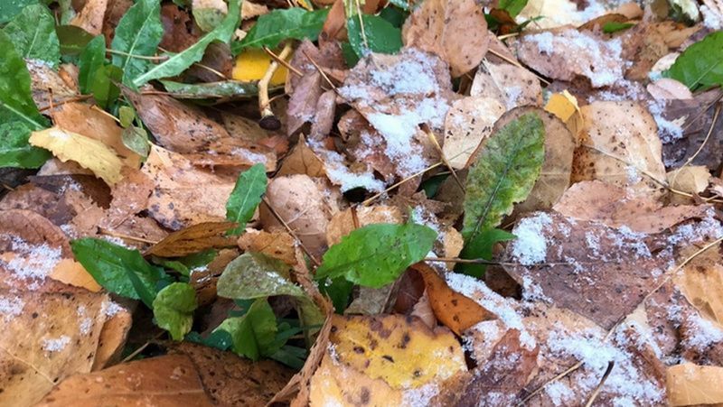 На Башкирию обрушится ледяной дождь