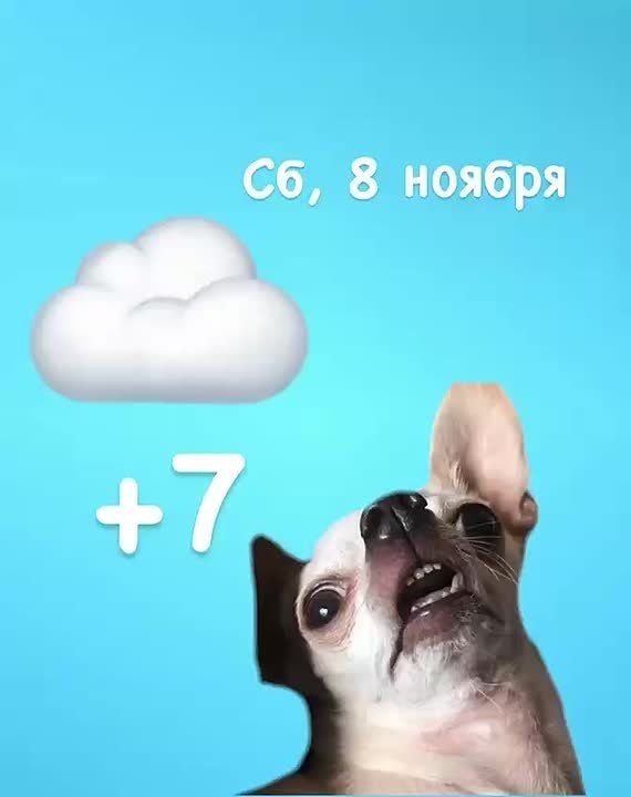 Хорошей субботы!