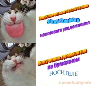 Быстро, удобно, всегда онлайн