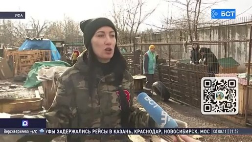 Жители Уфы помогли приюту для собак подготовиться к зиме