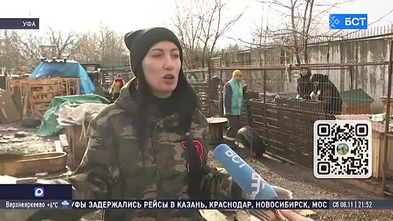Жители Уфы помогли приюту для собак подготовиться к зиме
