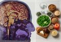 Литий: ключ к долголетию мозга и борьбе с болезнью Альцгеймера