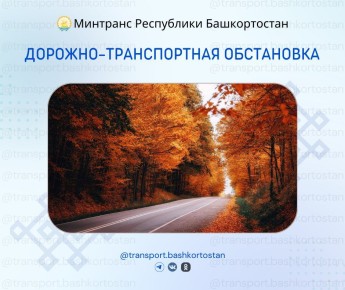 -        08:00  11  2025 