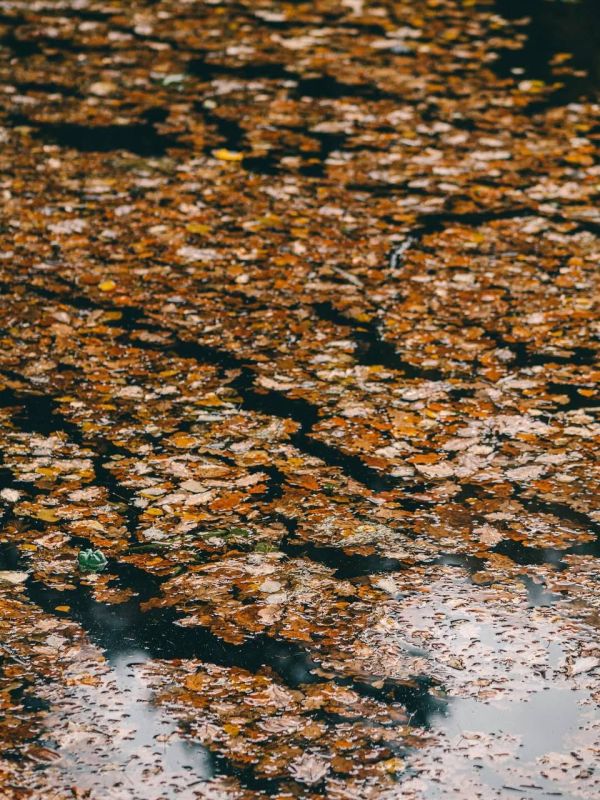 По данным Башгидромета, 11 ноября на территории республики ожидается облачная погода