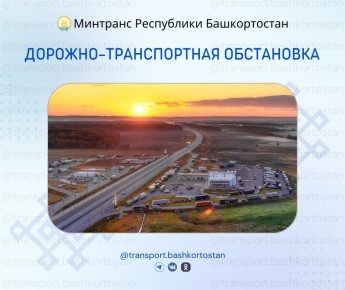 -        08:00  12  2025 