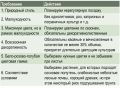Тайны выбора акцентов в ландшафтном дизайне