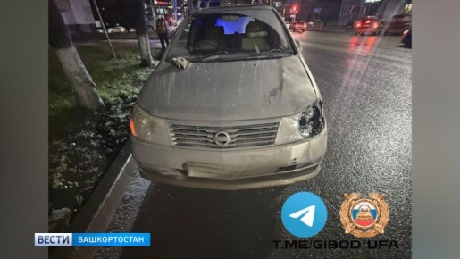      :   Nissan Liberty  77- 