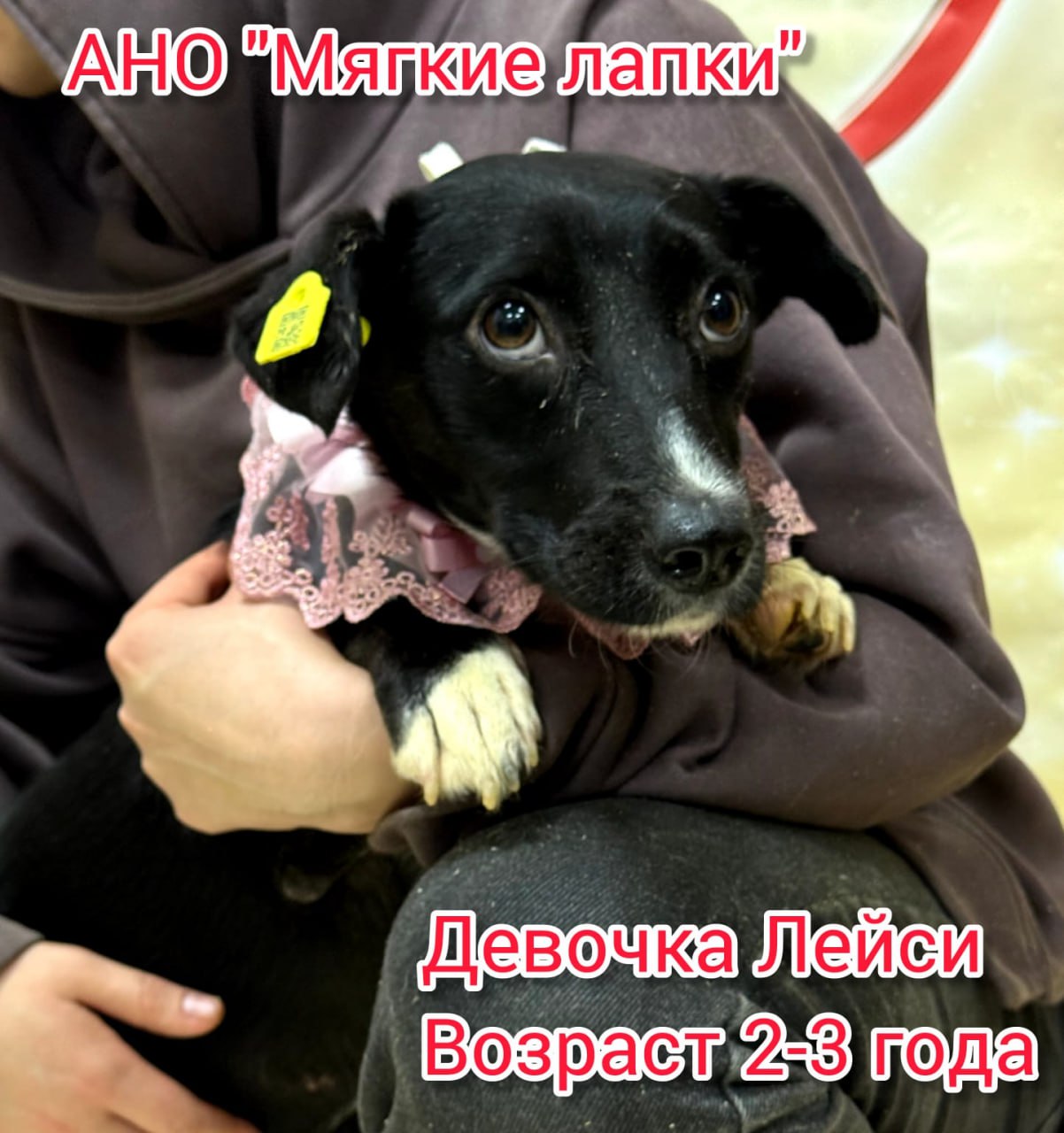 Приглашаем вас на незабываемую благотворительную акцию «Ищу человека» Это событие - часть проекта «Уфа добрая», которое организовано по инициативе мэра Уфы Ратмира Мавлиева Приглашаем вас на незабываемую благотворительную акцию «Ищу человека» Это событие - часть проекта «Уфа добрая», которое организовано по инициативе мэра Уфы Ратмира Мавлиева