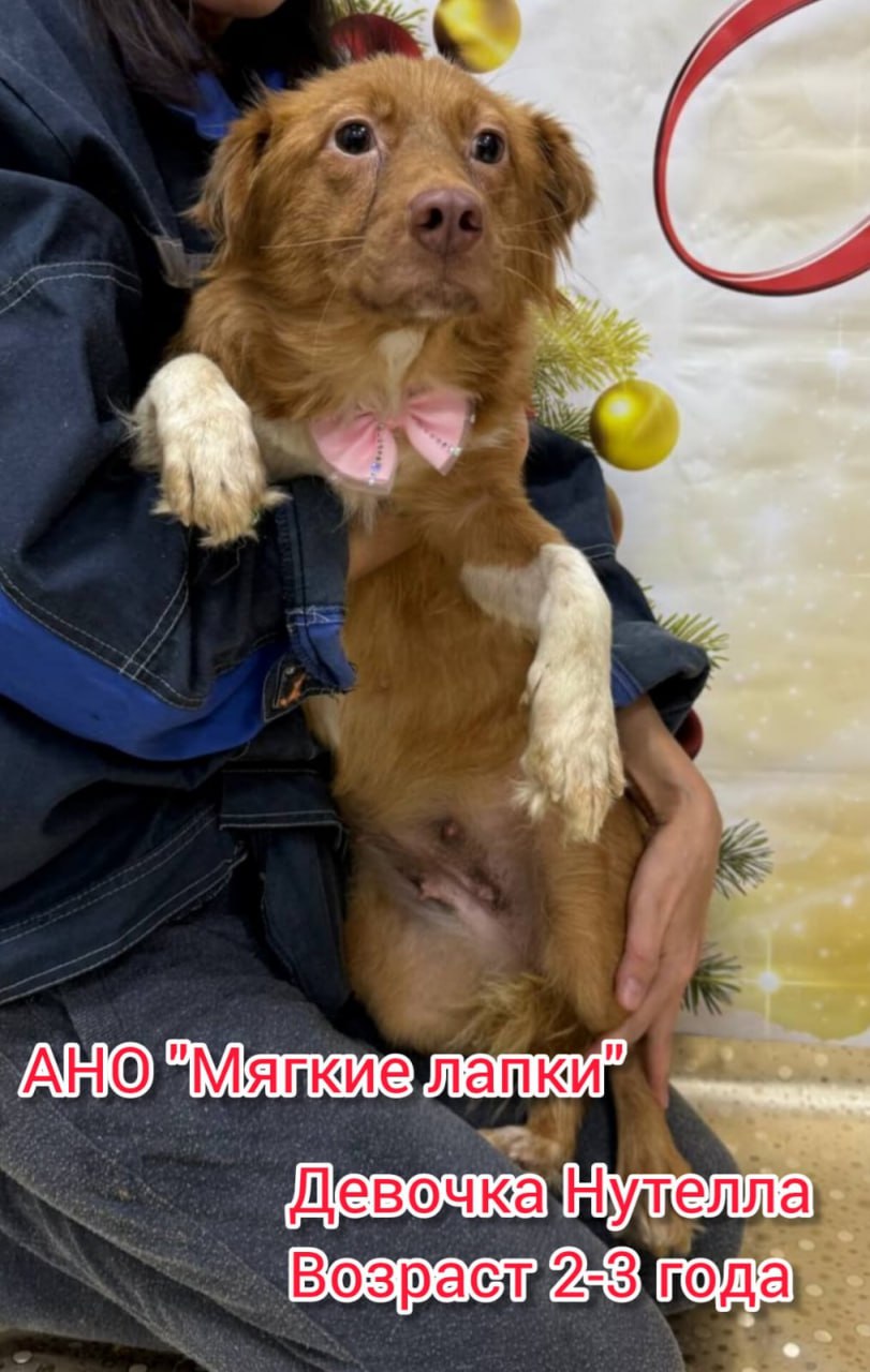 Приглашаем вас на незабываемую благотворительную акцию «Ищу человека» Это событие - часть проекта «Уфа добрая», которое организовано по инициативе мэра Уфы Ратмира Мавлиева Приглашаем вас на незабываемую благотворительную акцию «Ищу человека» Это событие - часть проекта «Уфа добрая», которое организовано по инициативе мэра Уфы Ратмира Мавлиева